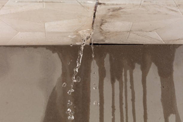 Professional Structural Drying technician working in Koppel, PA
